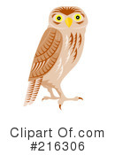 Owl Clipart #216306 by patrimonio