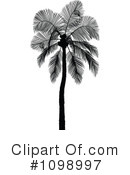 Palm Tree Clipart #1098997 by dero
