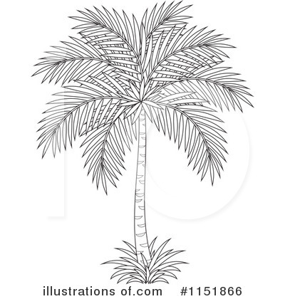 Palm Trees Clipart #1151866 by Alex Bannykh