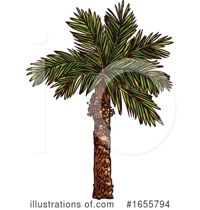 Palm Tree Clipart #1655794 by Vector Tradition SM