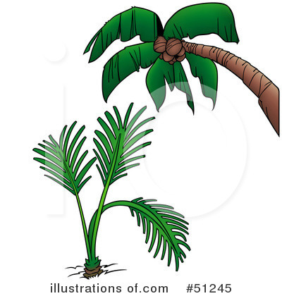 Royalty-Free (RF) Palm Tree Clipart Illustration by dero - Stock Sample #51245