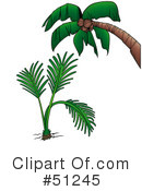 Palm Tree Clipart #51245 by dero