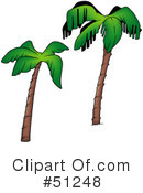 Palm Tree Clipart #51248 by dero