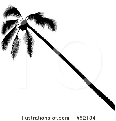 Royalty-Free (RF) Palm Tree Clipart Illustration by dero - Stock Sample #52134