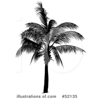 Royalty-Free (RF) Palm Tree Clipart Illustration by dero - Stock Sample #52135