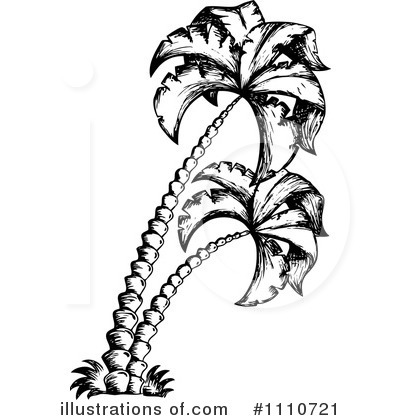 Royalty-Free (RF) Palm Trees Clipart Illustration by visekart - Stock Sample #1110721