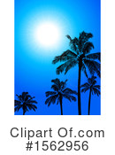 Palm Trees Clipart #1562956 by elaineitalia