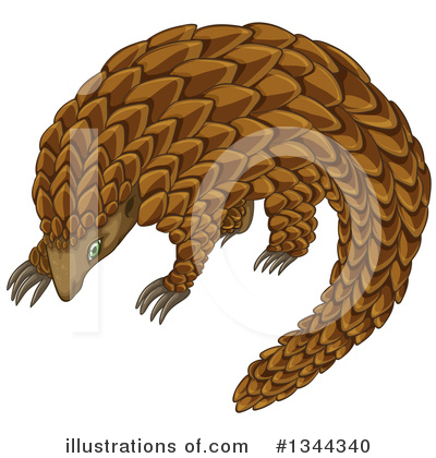 Pangolin Clipart #1344340 by Graphics RF