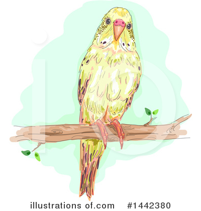 Parakeet Clipart #1442380 by BNP Design Studio