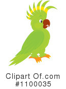 Parrot Clipart #1100035 by Alex Bannykh
