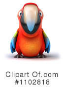 Parrot Clipart #1102818 by Julos