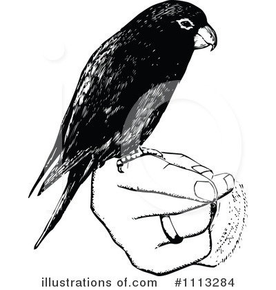 Royalty-Free (RF) Parrot Clipart Illustration by Prawny Vintage - Stock Sample #1113284