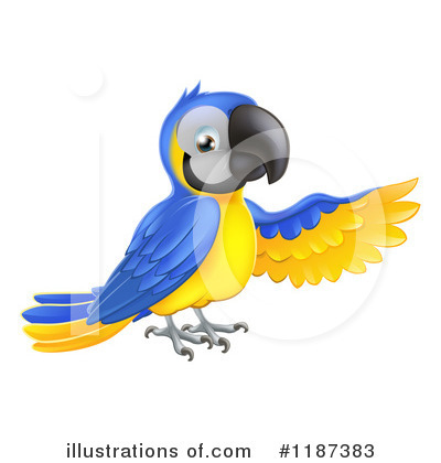Blue And Gold Macaw Clipart #1187383 by AtStockIllustration