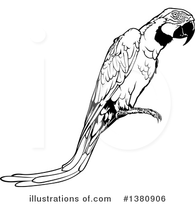 Royalty-Free (RF) Parrot Clipart Illustration by dero - Stock Sample #1380906