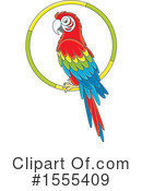 Parrot Clipart #1555409 by Alex Bannykh