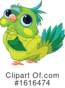 Parrot Clipart #1616474 by Pushkin