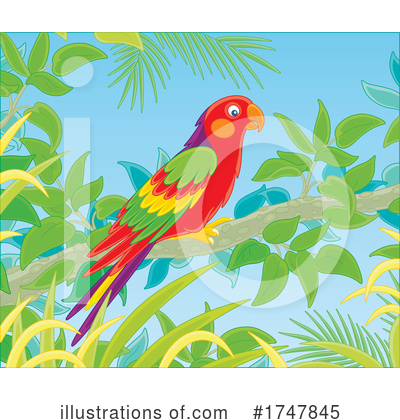 Royalty-Free (RF) Parrot Clipart Illustration by Alex Bannykh - Stock Sample #1747845