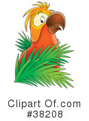 Parrot Clipart #38208 by Alex Bannykh