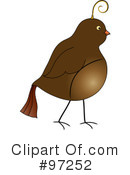 Partridge Clipart #97252 by Pams Clipart