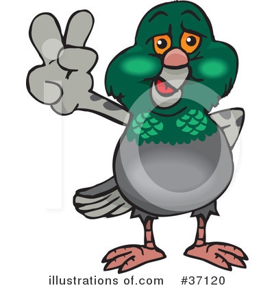 Pigeon Clipart #37120 by Dennis Holmes Designs