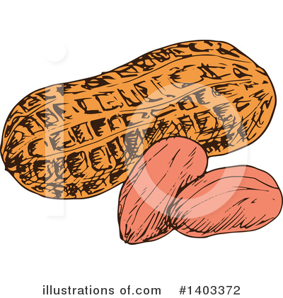 Royalty-Free (RF) Peanut Clipart Illustration by Vector Tradition SM - Stock Sample #1403372