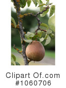 Pear Clipart #1060706 by Kenny G Adams