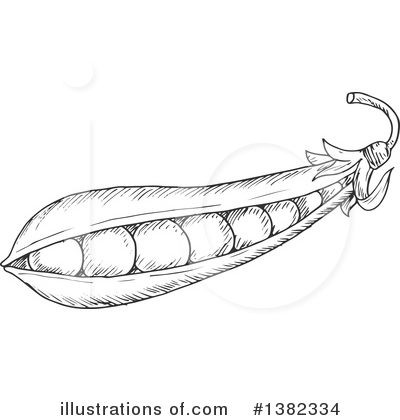 Royalty-Free (RF) Peas Clipart Illustration by Vector Tradition SM - Stock Sample #1382334