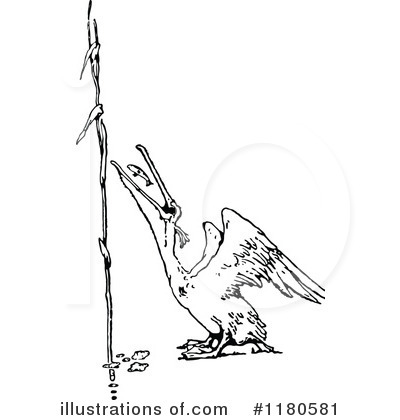Royalty-Free (RF) Pelican Clipart Illustration by Prawny Vintage - Stock Sample #1180581