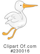 Pelican Clipart #230016 by BNP Design Studio