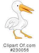 Pelican Clipart #230056 by BNP Design Studio