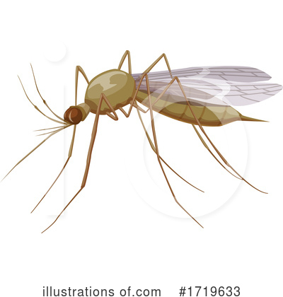 Mosquito Clipart #1719633 by Vector Tradition SM