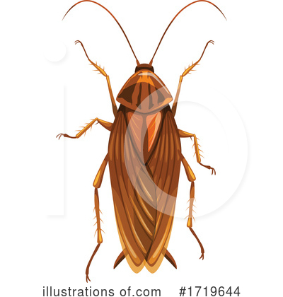 Cockroach Clipart #1719644 by Vector Tradition SM
