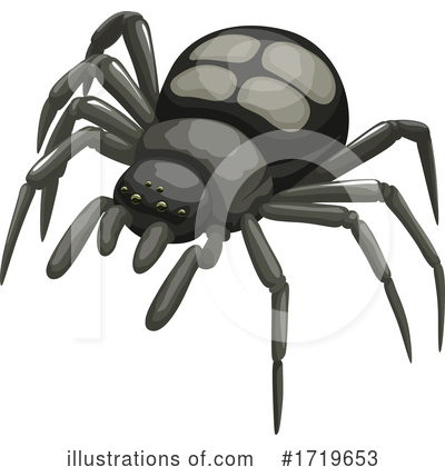 Spider Clipart #1719653 by Vector Tradition SM