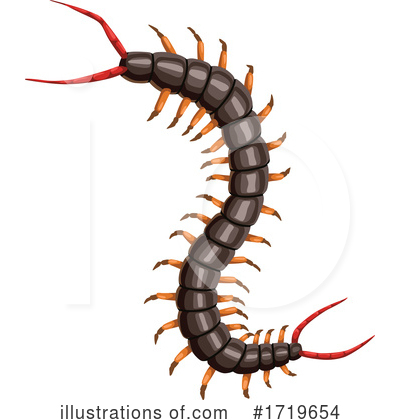 Centipede Clipart #1719654 by Vector Tradition SM