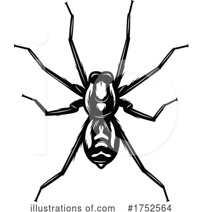 Spider Clipart #1752564 by Vector Tradition SM