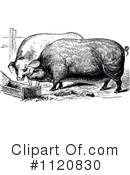 Pig Clipart #1120830 by Prawny Vintage