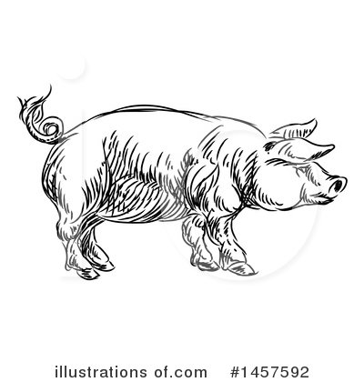 Royalty-Free (RF) Pig Clipart Illustration by AtStockIllustration - Stock Sample #1457592
