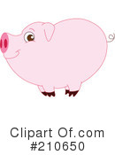 Pig Clipart #210650 by yayayoyo