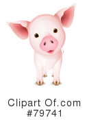 Pig Clipart #79741 by Oligo