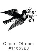 Pigeon Clipart #1165920 by Prawny Vintage