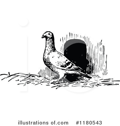 Royalty-Free (RF) Pigeon Clipart Illustration by Prawny Vintage - Stock Sample #1180543