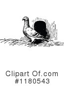Pigeon Clipart #1180543 by Prawny Vintage