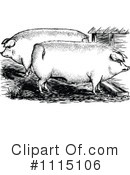 Pigs Clipart #1115106 by Prawny Vintage