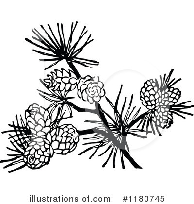 Botanical Clipart #1180745 by Prawny Vintage