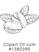 Pistachio Clipart #1382395 by Vector Tradition SM