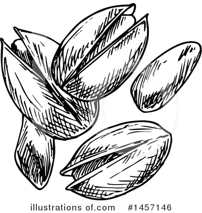 Royalty-Free (RF) Pistachio Clipart Illustration by Vector Tradition SM - Stock Sample #1457146