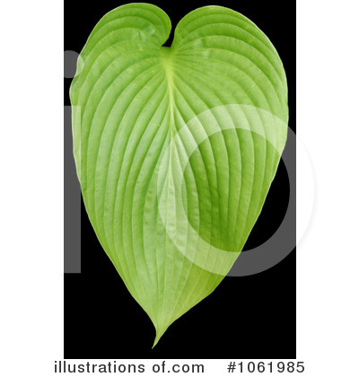 Royalty-Free (RF) Plant Clipart Illustration by Kenny G Adams - Stock Sample #1061985