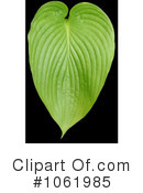Plant Clipart #1061985 by Kenny G Adams