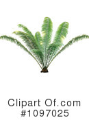 Plant Clipart #1097025 by dero