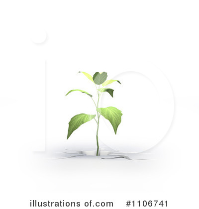 Seedling Clipart #1106741 by Mopic